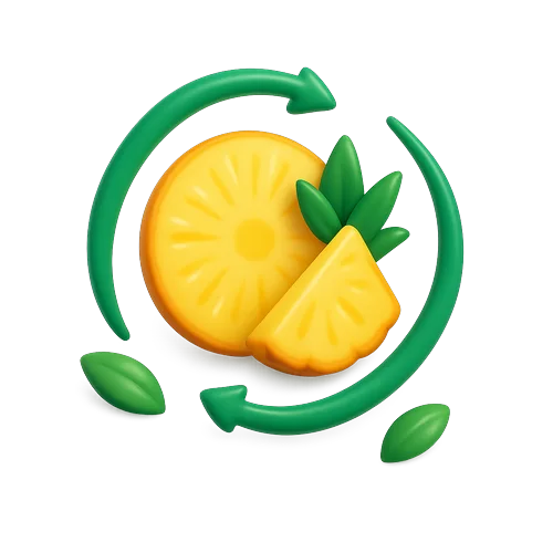 Ilustración de digestión ligera con piña, por la bromelina de Biofit
